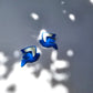 VUELO Pájaros